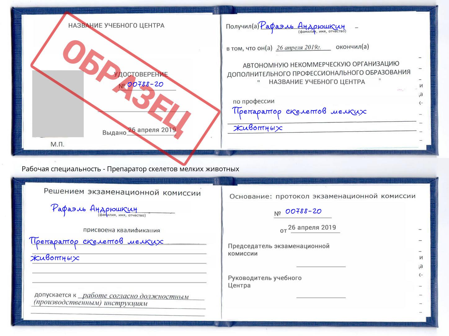 Препаратор скелетов мелких животных Кемерово