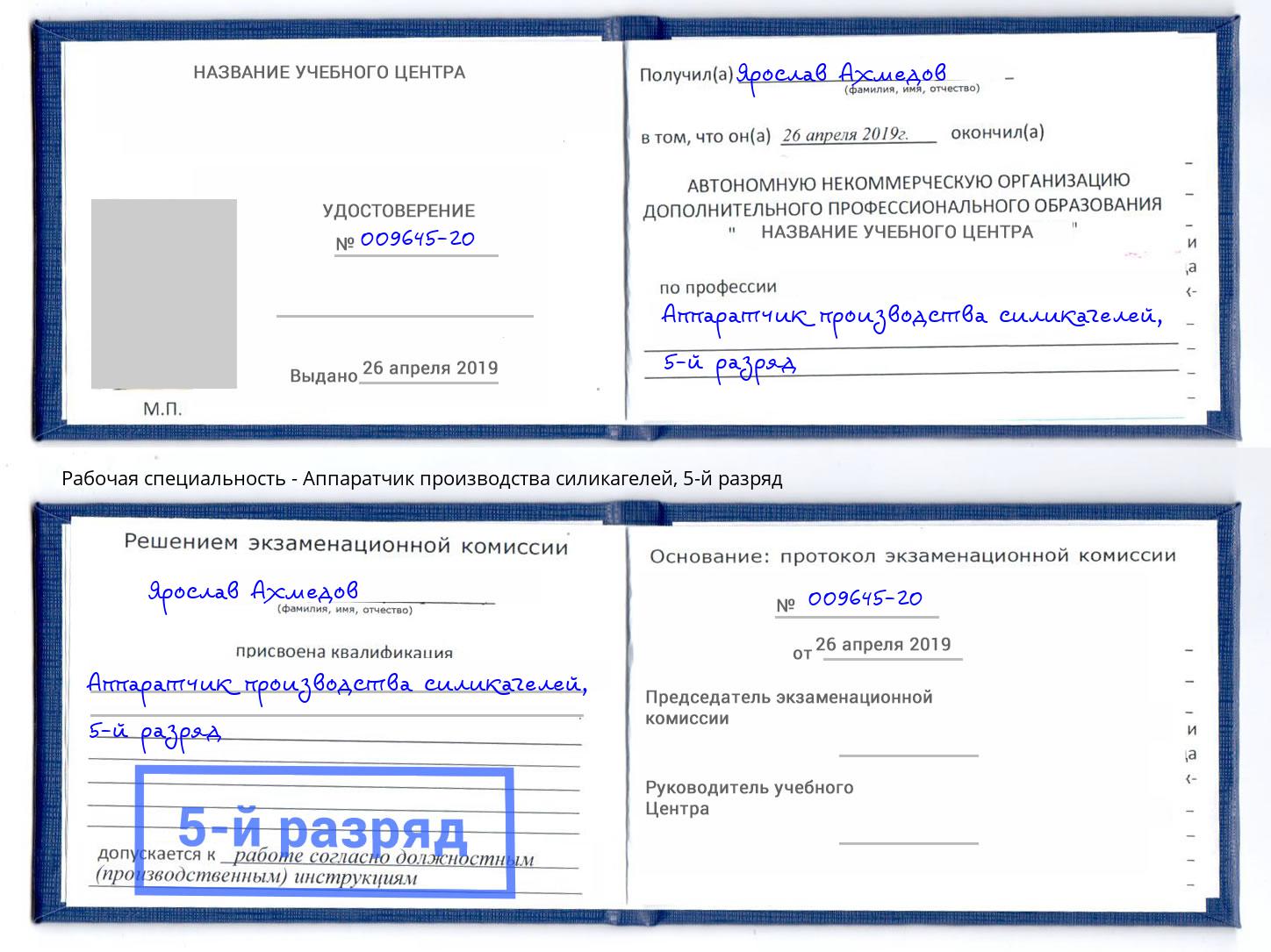 корочка 5-й разряд Аппаратчик производства силикагелей Кемерово