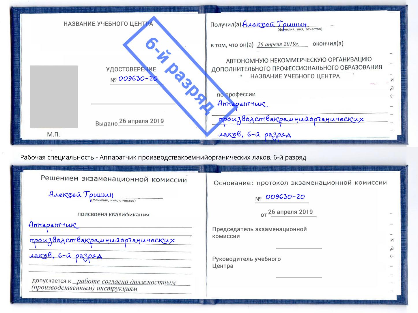 корочка 6-й разряд Аппаратчик производствакремнийорганических лаков Кемерово